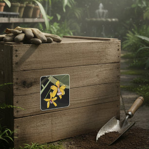 Sticker Carré Orchidée jaune Fleur tropicale Botanique