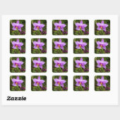 Sticker Carré Orchidée sauvage violette Fleur tropicale (Feuille)