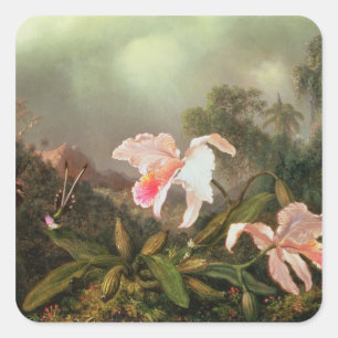 Sticker Carré Orchidées de jungle et colibris, 1872