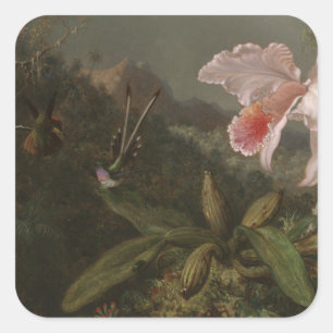 Sticker Carré Orchidées et colibris de jungle