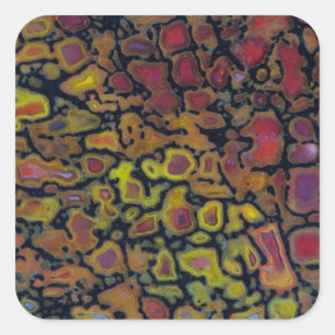 Sticker Carré Os de dinosaure pétrifié arc-en-ciel
