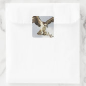 Sticker Carré Osprey (Sac)