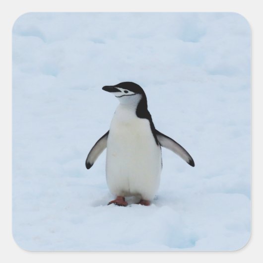 Sticker Carré Où suis-je (Devant)