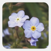 Sticker Carré Oublie-moi pas les fleurs (Devant)