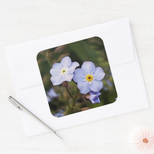 Sticker Carré Oublie-moi pas les fleurs (Enveloppe)