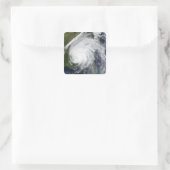 Sticker Carré Ouragan Ivan (Sac)