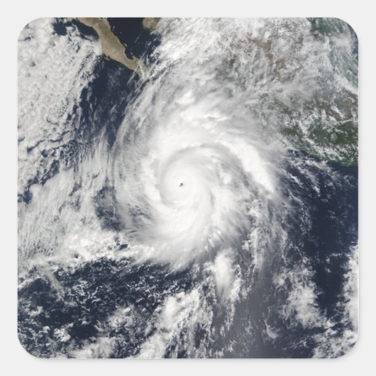 Sticker Carré Ouragan Kenna 2 (Devant)