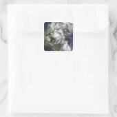 Sticker Carré Ouragan Paula (Sac)