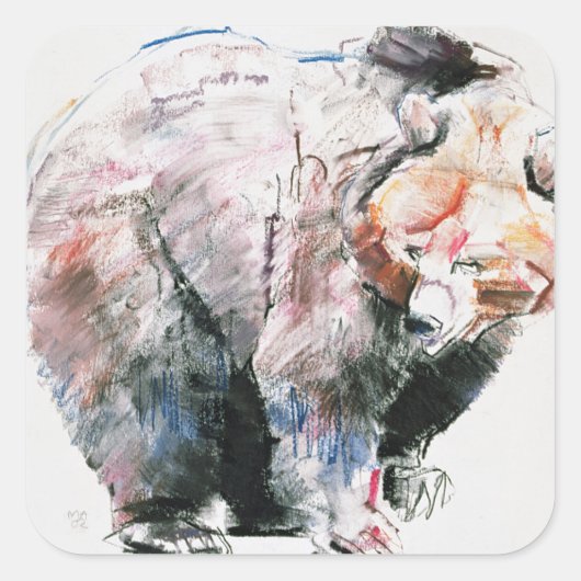 Sticker Carré Ours (Devant)