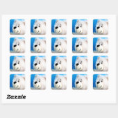 Sticker Carré Ours bleu (Feuille)