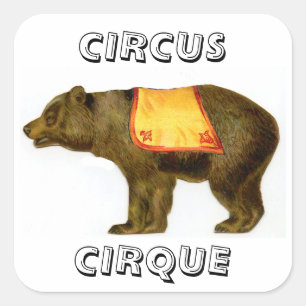 Sticker Carré Ours de cirque vintage