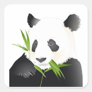 Sticker Carré Ours de Panda