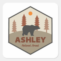 Ours forestier national Ashley