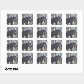Sticker Carré Ours noir (Feuille)