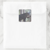 Sticker Carré Ours noir (Sac)