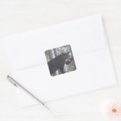 Sticker Carré Ours noir (Enveloppe)