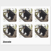 Sticker Carré Ours noir Escalade (Feuille)