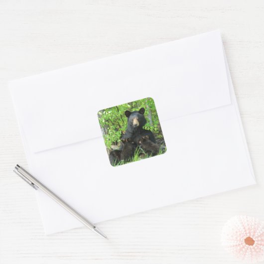 Sticker Carré Ours noir et cubes jumeaux (Enveloppe)