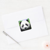 Sticker Carré Ours Panda (Enveloppe)