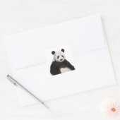 Sticker Carré Ours Panda Fluffé Cute (Enveloppe)