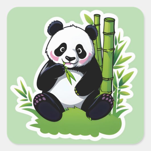 Sticker Carré Ours panda mangeant des feuilles de bambou (Devant)
