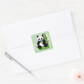 Sticker Carré Ours panda mangeant des feuilles de bambou (Enveloppe)