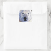 Sticker Carré Ours polaire (Sac)