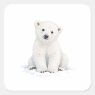 Sticker Carré Ours polaire assis dans la neige
