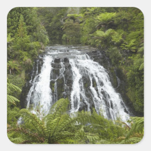 Sticker Carré Owharoa Falls, gorge de Karangahake, près de Paero