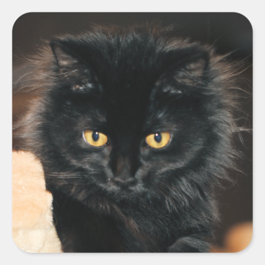 Sticker Carré Owlette (Devant)