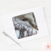 STICKER CARRÉ OWLS (Enveloppe)