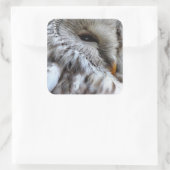 STICKER CARRÉ OWLS (Sac)