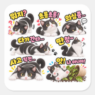 Sticker Carré Pack d'autocollants drôles de chat smoking coréen