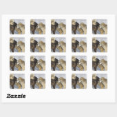 Sticker Carré Pack de loups interagissant (Feuille)