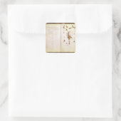 Sticker Carré Page 24 d'un Herbarium (Sac)