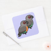 Sticker Carré Paire de perroquets à ventre rouge (Enveloppe)