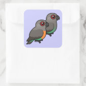 Sticker Carré Paire de perroquets à ventre rouge (Sac)