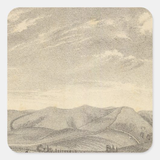 Sticker Carré Palmer res, vignoble (Devant)