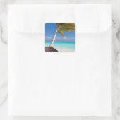 Sticker Carré Palmier sur la belle plage de sable blanc (Sac)