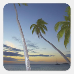 Sticker Carré Palmiers et coucher de soleil, Plantation Island R