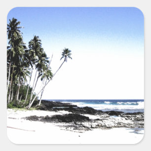 Sticker Carré Palmiers exotiques & Plage Paradise