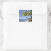 Sticker Carré Palmiers sur la plage d'Hawaii. (Sac)