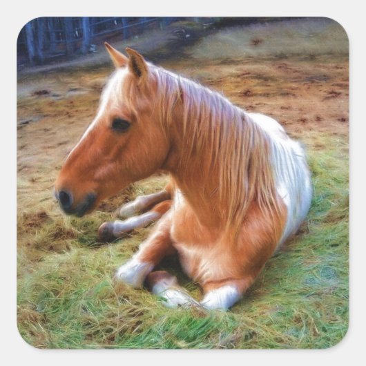 Sticker Carré Palomino Pinto Cheval Repose d'oeuvres (Devant)