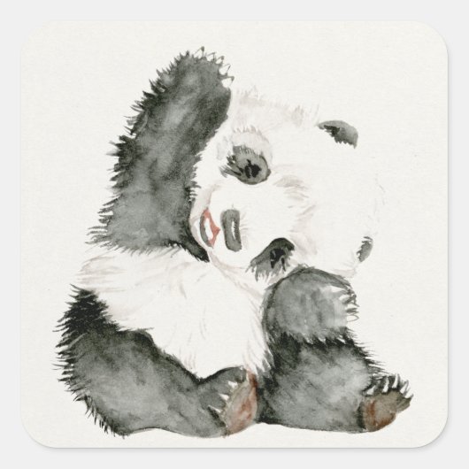 Sticker Carré Panda bébé | Cute & Furry (Devant)
