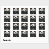Sticker Carré Panda géant (Feuille)