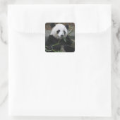 Sticker Carré Panda géant (Sac)