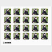 Sticker Carré Panda géant assis sur une pierre (Feuille)