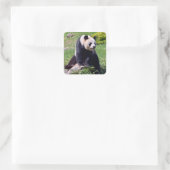 Sticker Carré Panda géant assis sur une pierre (Sac)