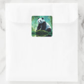 Sticker Carré Panda géant dans la forêt de Bamboo (Sac)