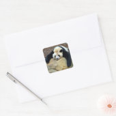 Sticker Carré Panda géant endormi claqué sur un rocher (Enveloppe)